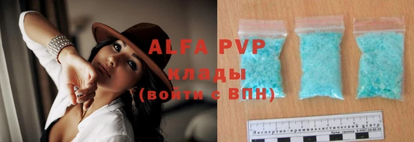 спиды Богородск