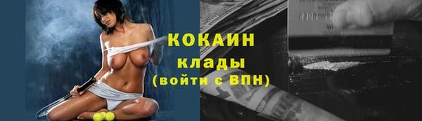 спиды Богородск