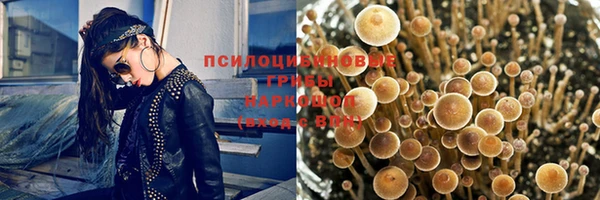 спиды Богородск